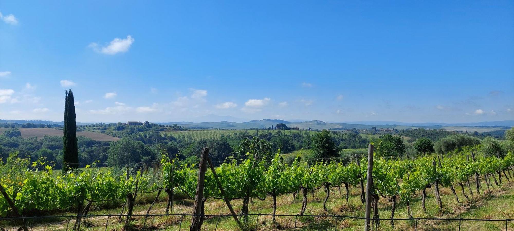 Chianti - Lovely Cottage With Parking & Garden! Castelnuovo Berardenga Luaran gambar